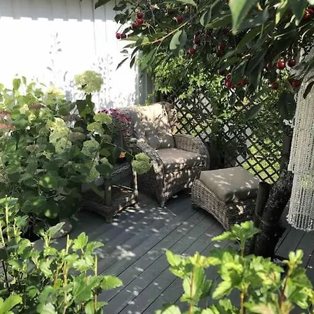 Koselig Hus Med 4 Soverom 7 Min Gange Fra Sentrum Hotel